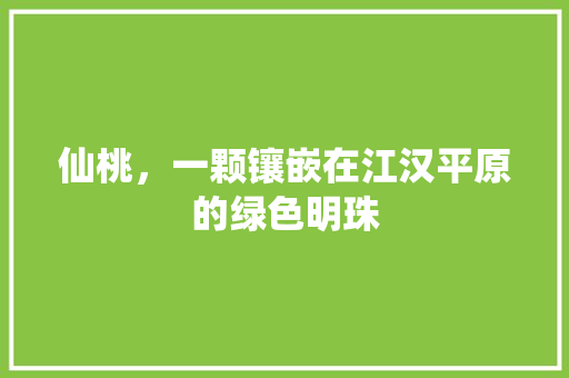 仙桃，一颗镶嵌在江汉平原的绿色明珠