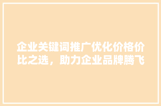 企业关键词推广优化价格价比之选，助力企业品牌腾飞