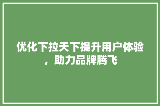 优化下拉天下提升用户体验,助力品牌腾飞 优化下拉天下提升用户体验,助力品牌腾飞