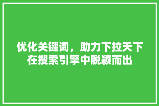 优化关键词,助力下拉天下在搜索引擎中脱颖而出 优化关键词,助力下拉天下在搜索引擎中脱颖而出