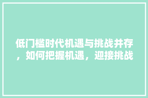低门槛时代机遇与挑战并存，如何把握机遇，迎接挑战