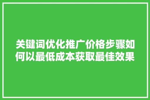 关键词优化推广价格步骤如何以最低成本获取最佳效果 编程语言