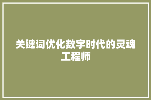 关键词优化数字时代的灵魂工程师