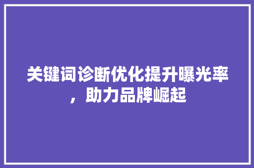 关键词诊断优化提升曝光率，助力品牌崛起