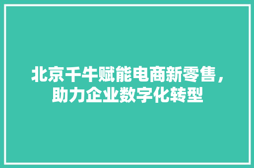 北京千牛赋能电商新零售,助力企业数字化转型 北京千牛赋能电商新零售,助力企业数字化转型