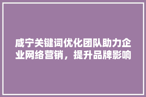 咸宁关键词优化团队助力企业网络营销，提升品牌影响力
