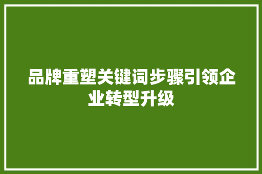 品牌重塑关键词步骤引领企业转型升级 电脑基础