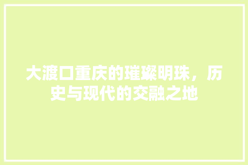 大渡口重庆的璀璨明珠，历史与现代的交融之地 操作系统