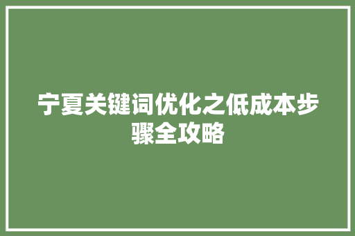 宁夏关键词优化之低成本步骤全攻略