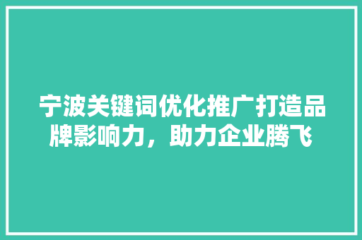 宁波关键词优化推广打造品牌影响力，助力企业腾飞