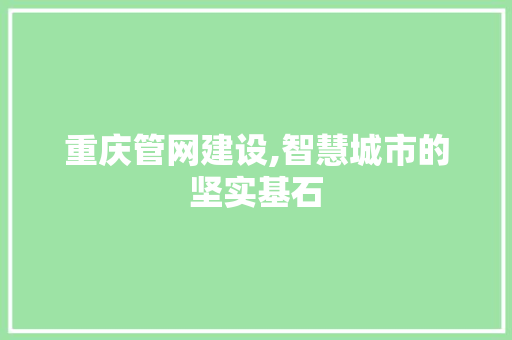 重庆管网建设,智慧城市的坚实基石