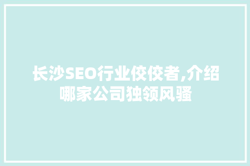 长沙SEO行业佼佼者,介绍哪家公司独领风骚