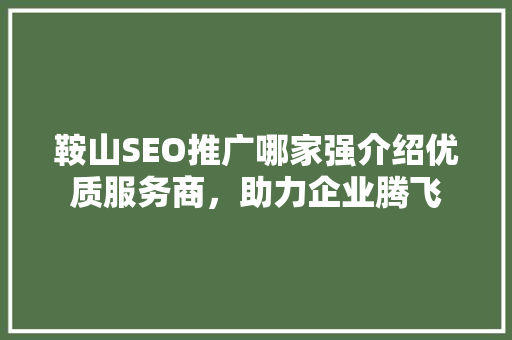 鞍山SEO推广哪家强介绍优质服务商，助力企业腾飞