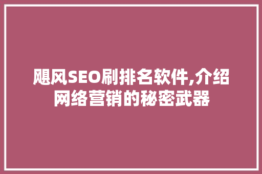 飓风SEO刷排名软件,介绍网络营销的秘密武器