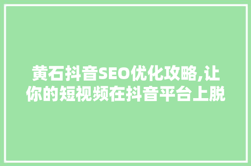 黄石抖音SEO优化攻略,让你的短视频在抖音平台上脱颖而出 黄石抖音SEO优化攻略,让你的短视频在抖音平台上脱颖而出