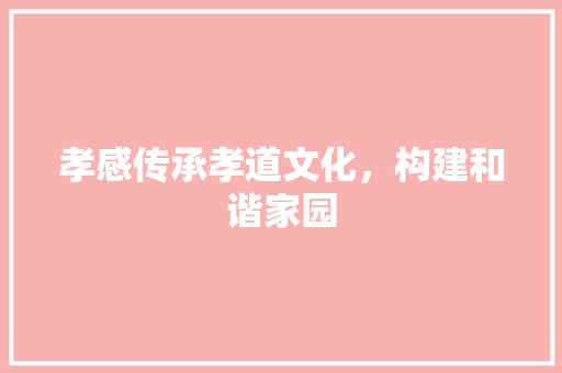 孝感传承孝道文化，构建和谐家园