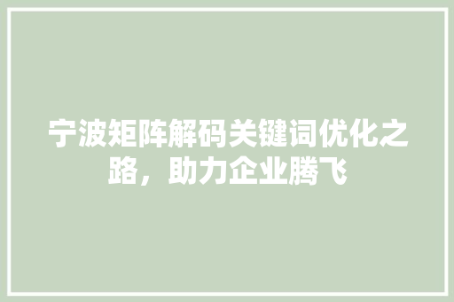 宁波矩阵解码关键词优化之路,助力企业腾飞 宁波矩阵解码关键词优化之路,助力企业腾飞