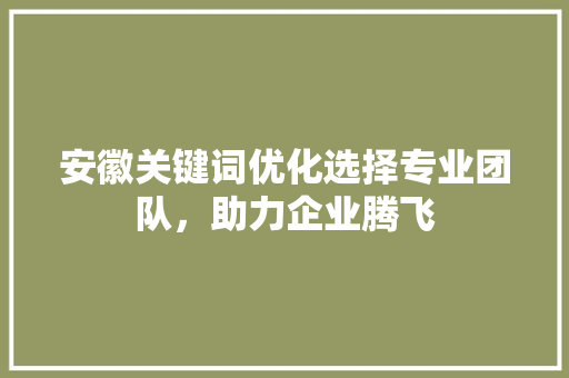 安徽关键词优化选择专业团队,助力企业腾飞 安徽关键词优化选择专业团队,助力企业腾飞