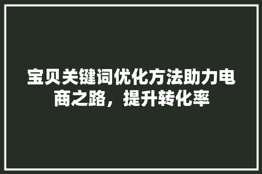 宝贝关键词优化方法助力电商之路，提升转化率