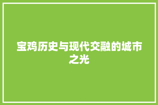 宝鸡历史与现代交融的城市之光