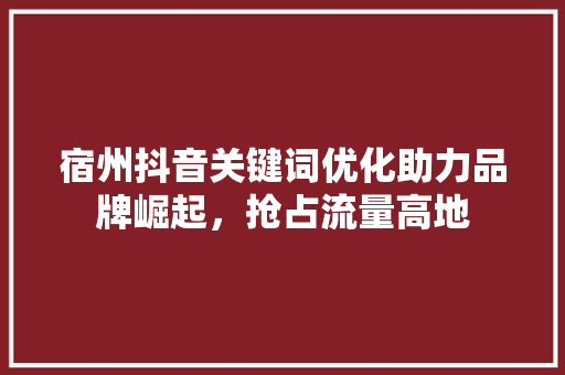 宿州抖音关键词优化助力品牌崛起，抢占流量高地