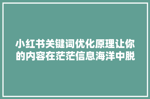 小红书关键词优化原理让你的内容在茫茫信息海洋中脱颖而出