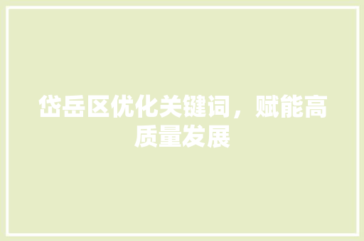 岱岳区优化关键词，赋能高质量发展