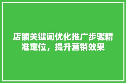 店铺关键词优化推广步骤精准定位，提升营销效果