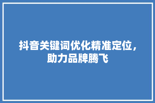 抖音关键词优化精准定位，助力品牌腾飞
