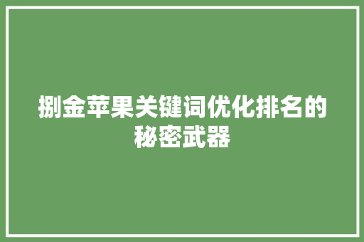 捌金苹果关键词优化排名的秘密武器
