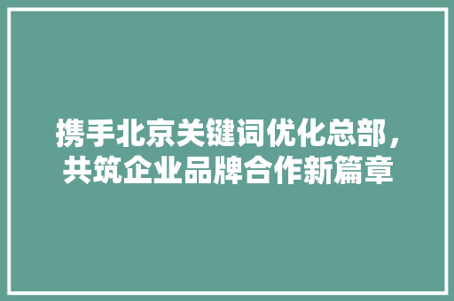 携手北京关键词优化总部，共筑企业品牌合作新篇章 网络技术