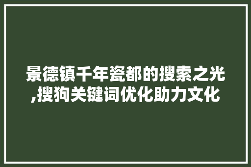 景德镇千年瓷都的搜索之光,搜狗关键词优化助力文化传播 景德镇千年瓷都的搜索之光,搜狗关键词优化助力文化传播