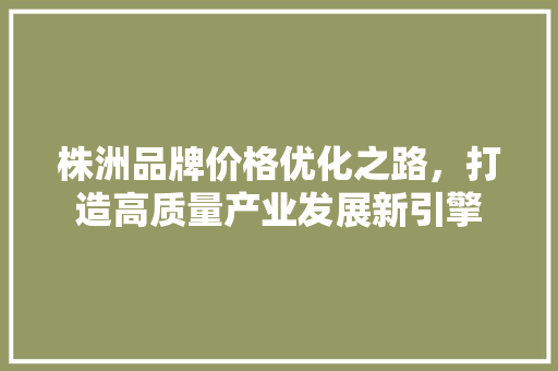 株洲品牌价格优化之路，打造高质量产业发展新引擎