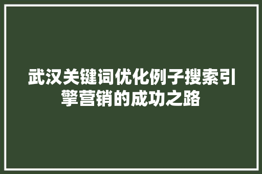 武汉关键词优化例子搜索引擎营销的成功之路