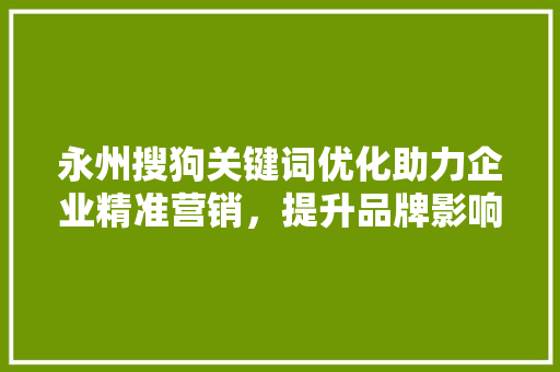 永州搜狗关键词优化助力企业精准营销，提升品牌影响力