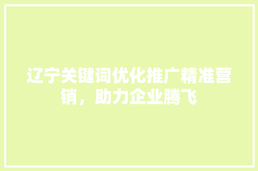 辽宁关键词优化推广精准营销,助力企业腾飞 辽宁关键词优化推广精准营销,助力企业腾飞