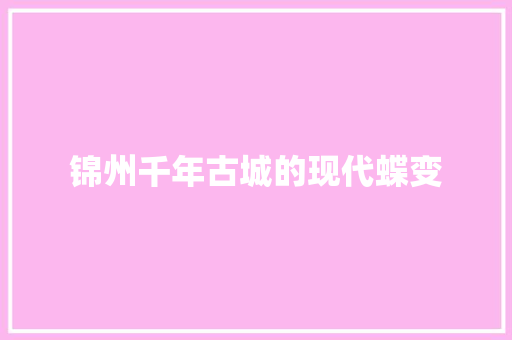 锦州千年古城的现代蝶变
