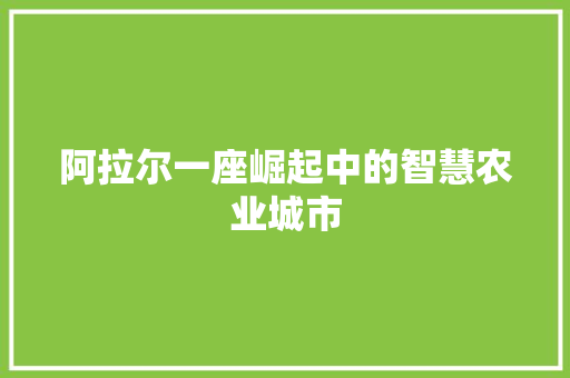 阿拉尔一座崛起中的智慧农业城市