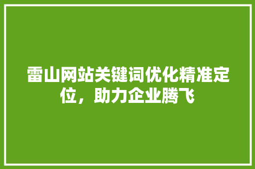 雷山网站关键词优化精准定位，助力企业腾飞