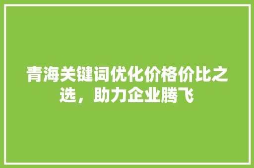青海关键词优化价格价比之选,助力企业腾飞 青海关键词优化价格价比之选,助力企业腾飞