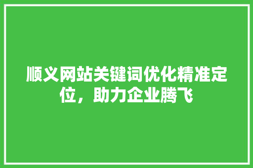 顺义网站关键词优化精准定位,助力企业腾飞 顺义网站关键词优化精准定位,助力企业腾飞