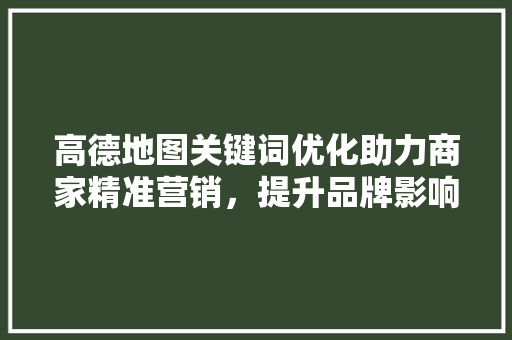 高德地图关键词优化助力商家精准营销,提升品牌影响力 高德地图关键词优化助力商家精准营销,提升品牌影响力