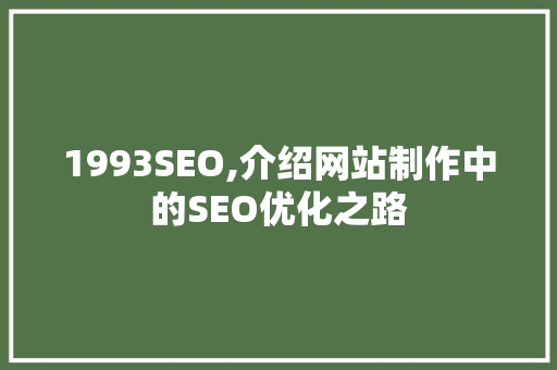 1993SEO,介绍网站制作中的SEO优化之路 操作系统