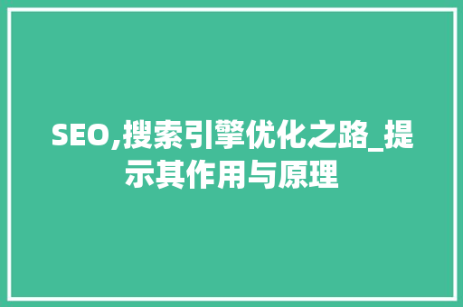 SEO,搜索引擎优化之路_提示其作用与原理