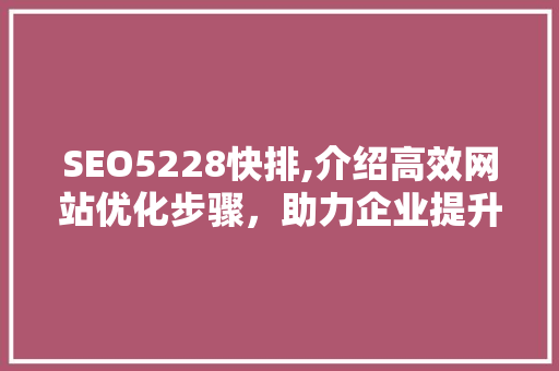 SEO5228快排,介绍高效网站优化步骤，助力企业提升在线竞争力