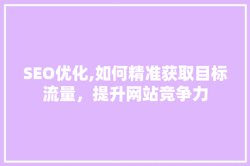 SEO优化,如何精准获取目标流量，提升网站竞争力 电脑故障维修