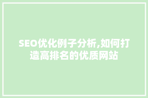 SEO优化例子分析,如何打造高排名的优质网站