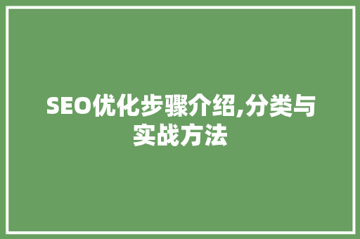 SEO优化步骤介绍,分类与实战方法