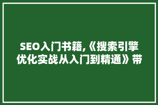 SEO入门书籍,《搜索引擎优化实战从入门到精通》带你掌握搜索引擎优化方法