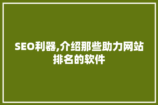 SEO利器,介绍那些助力网站排名的软件